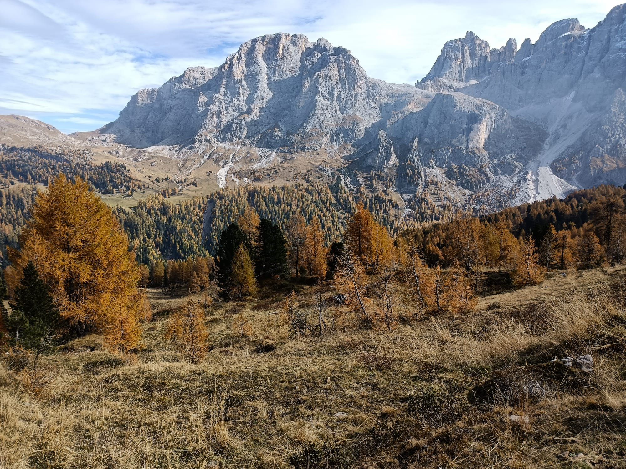 Predazzo - San Martino di Castrozza